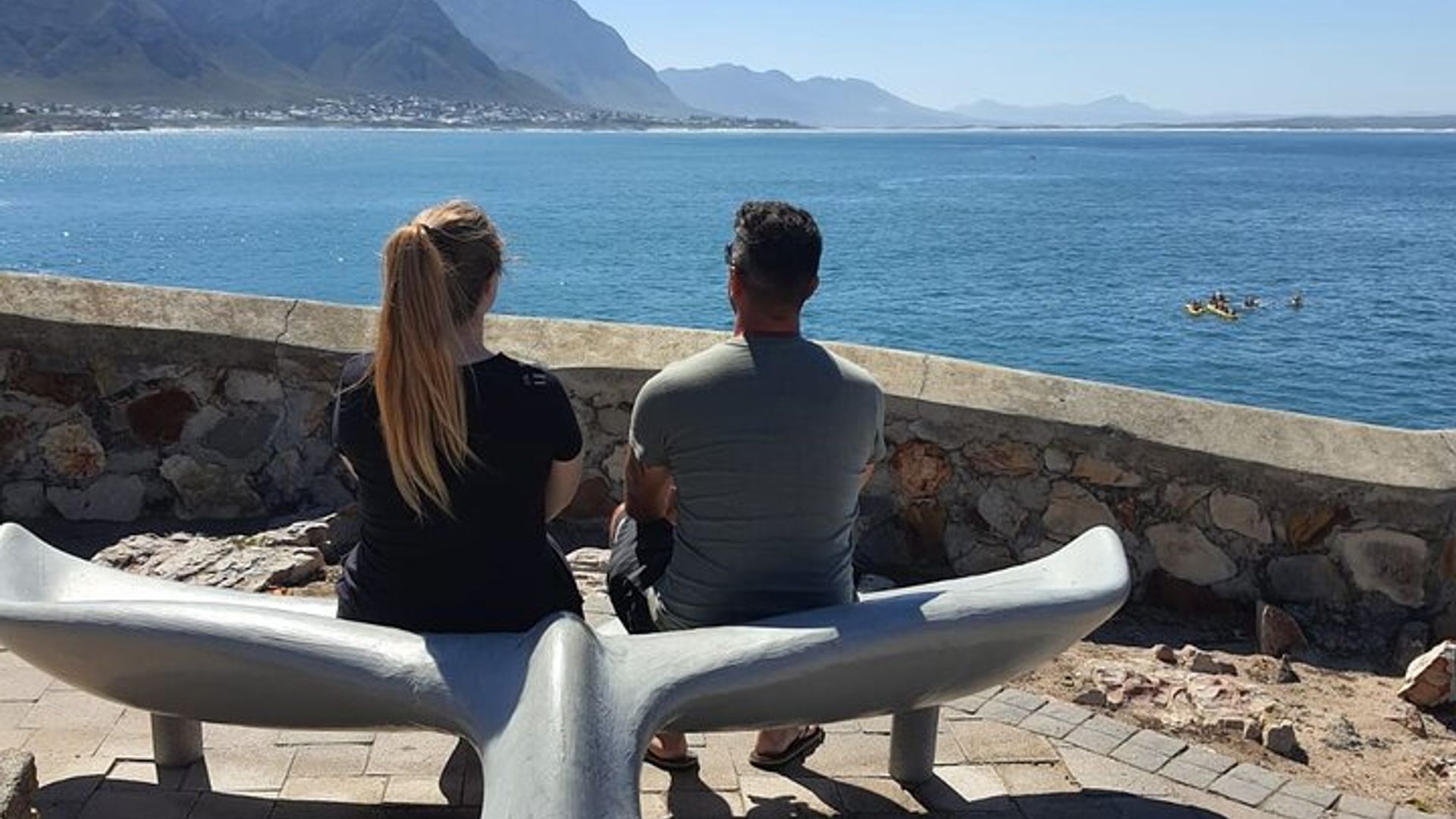 Hermanus Whale Watching Shared Boat Trip & Pinguine Private Tour