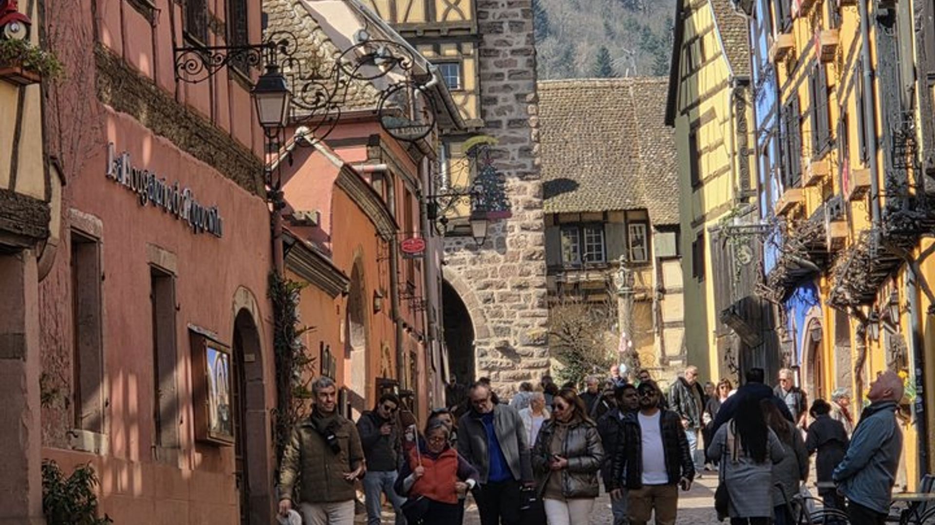 Strasbourg: Shared excursion to Ht-Koenig, Riquewihr and Colmar