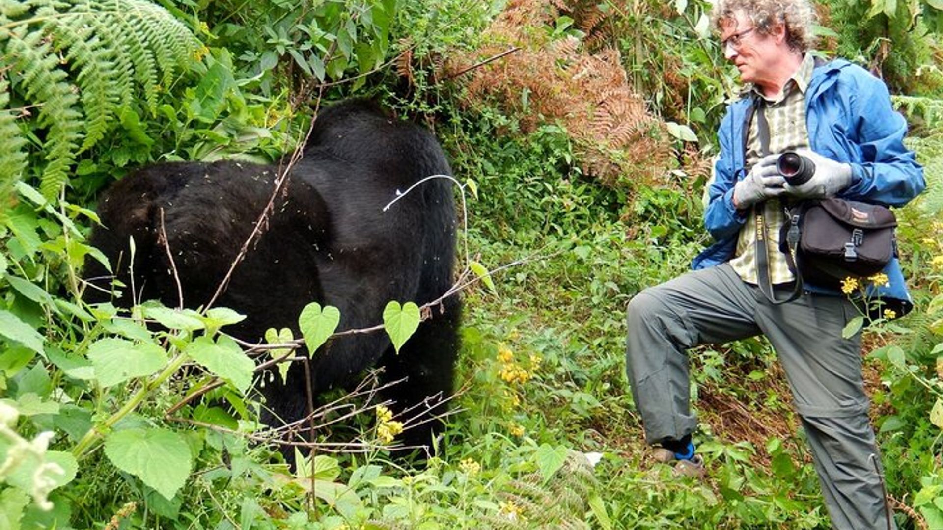 11-Day Uganda Safari Experience Tour with Pick Up