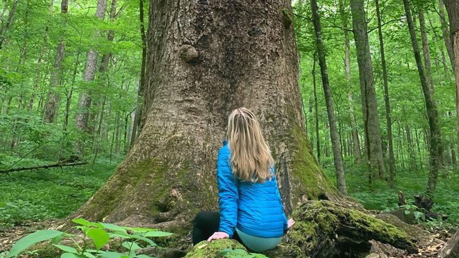 Asheville Forest Bathing & Therapy Walk