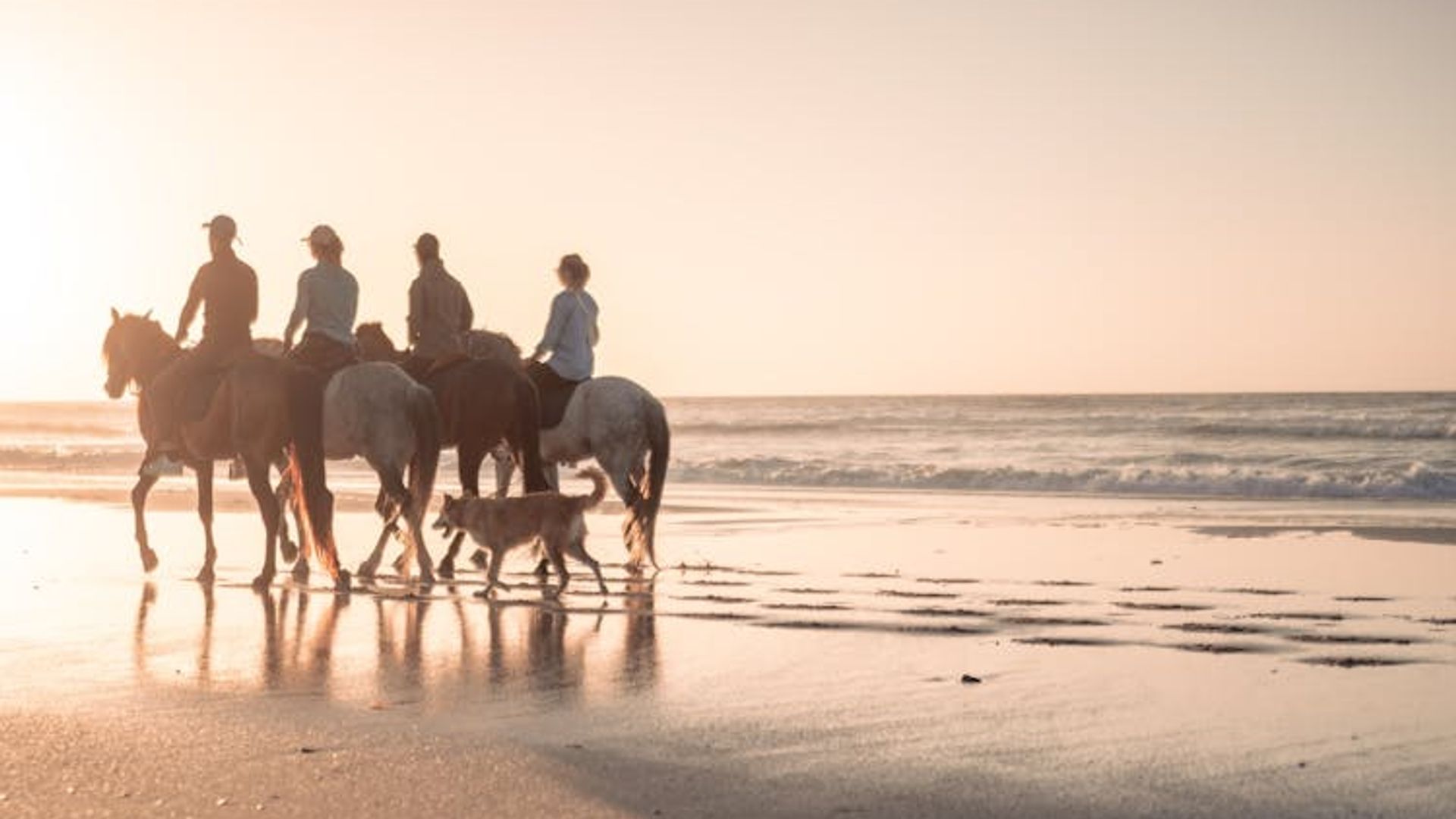 Essaouira excursion with horse ride from Marrakech