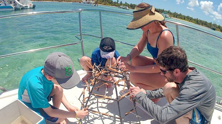 Snorkel Lovers for All Ages & Premium Seafood Lunch in Punta Cana
