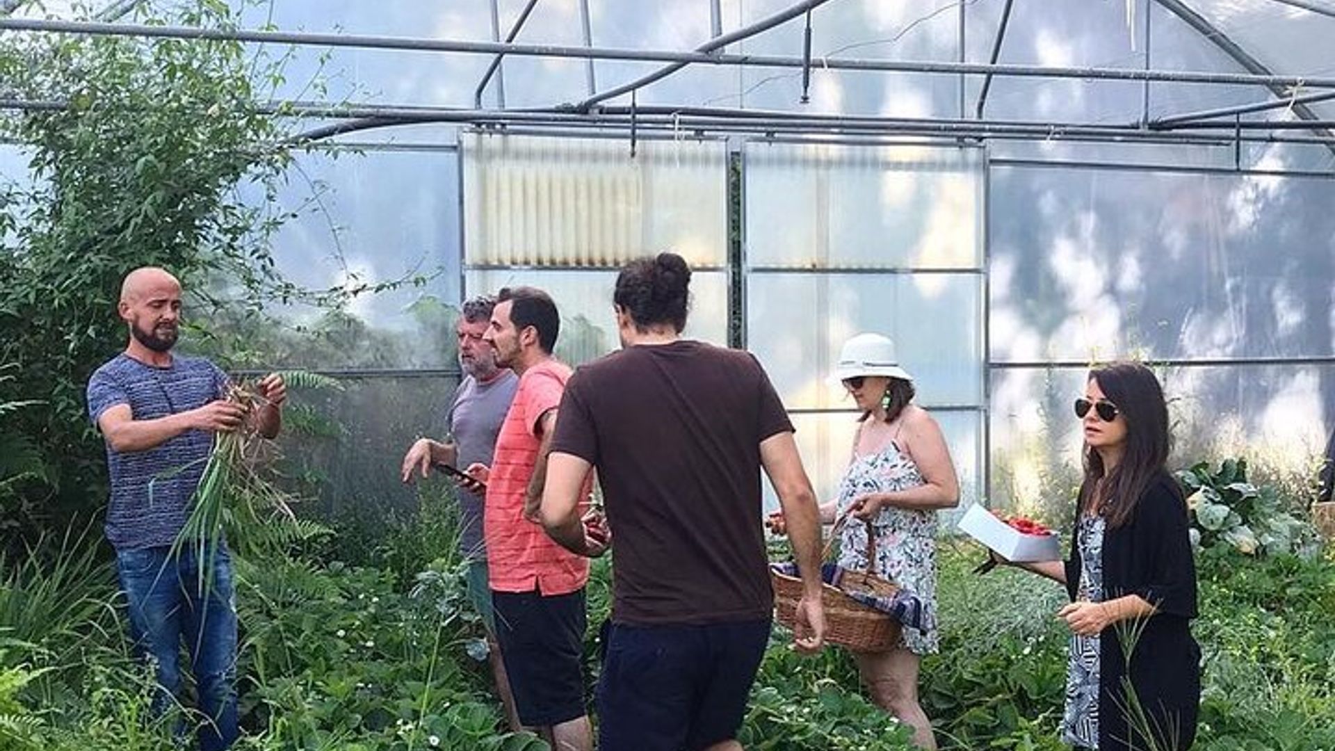 Traditional Cooking Class, Farm Tour & Lunch in the Douro Valley