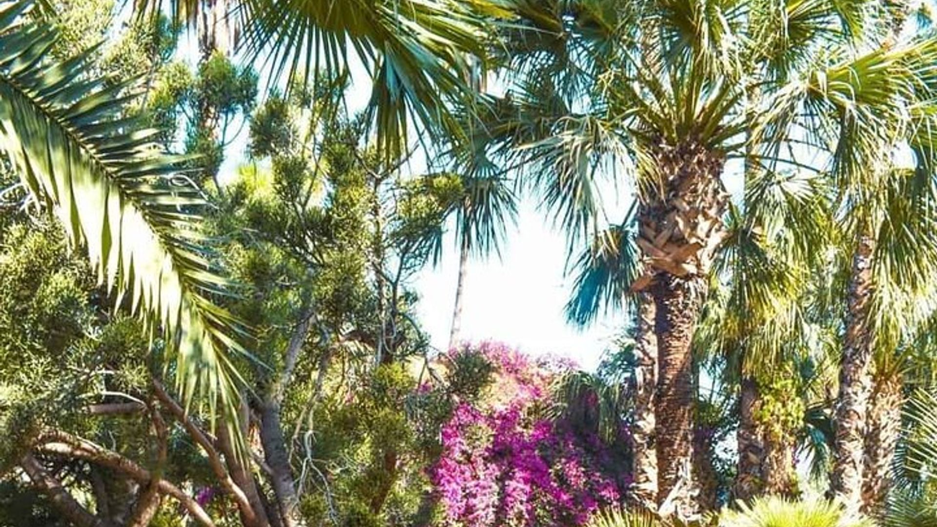 Experiência no Jardim Majorelle: Ingresso e Transferências Sem Complicações