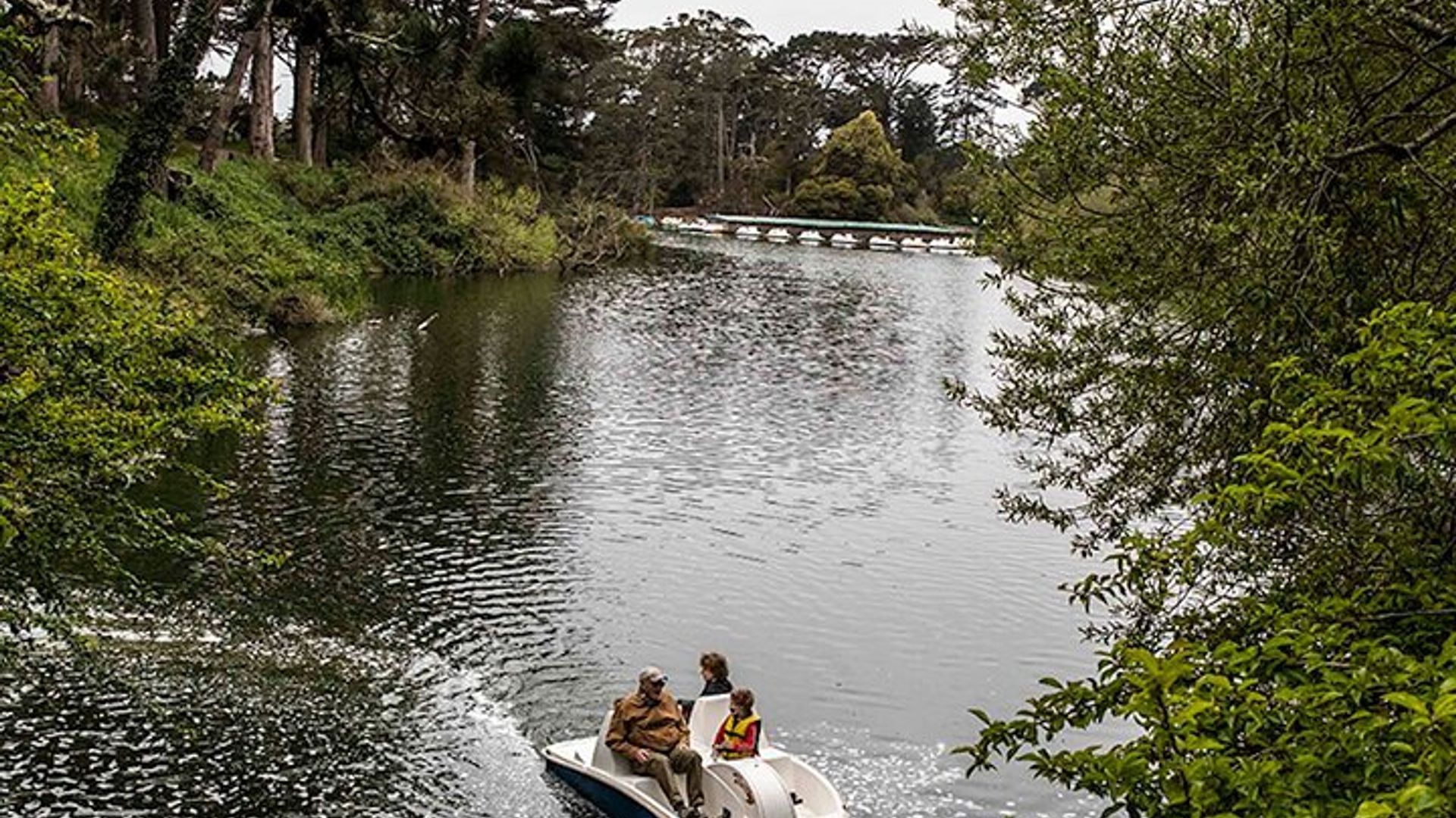 San Francisco Chronicle's Golden Gate Park Self-Guided Tour image 1