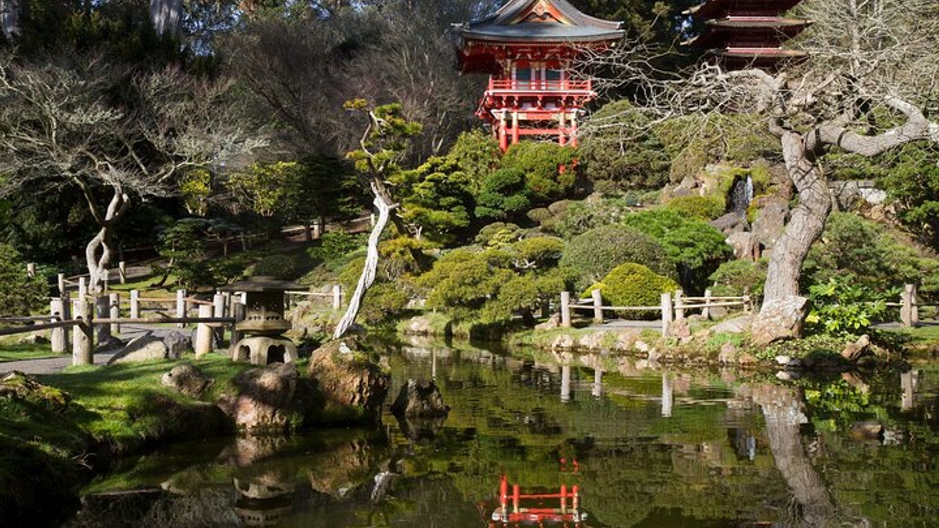San Francisco Rent a Bike in Golden Gate Park image 1