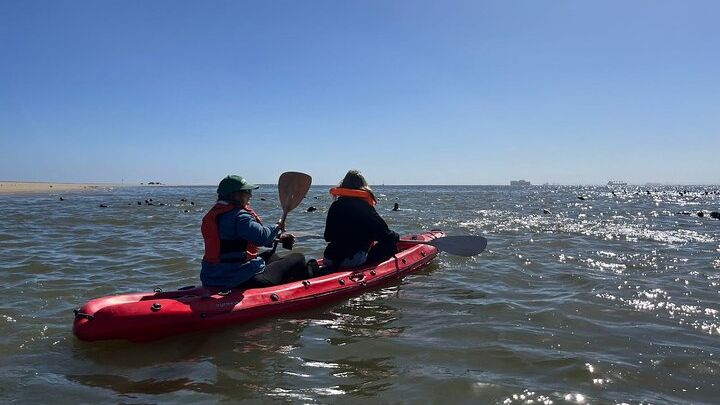 Seal Kayaking and Sandwich Harbour tour
