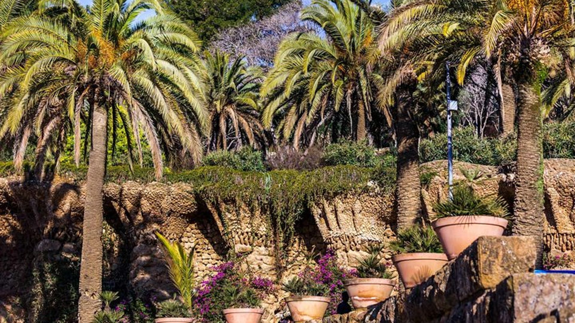 Barcelona: Skip-the-Line Gaudi's Park Guell Guided Tour
