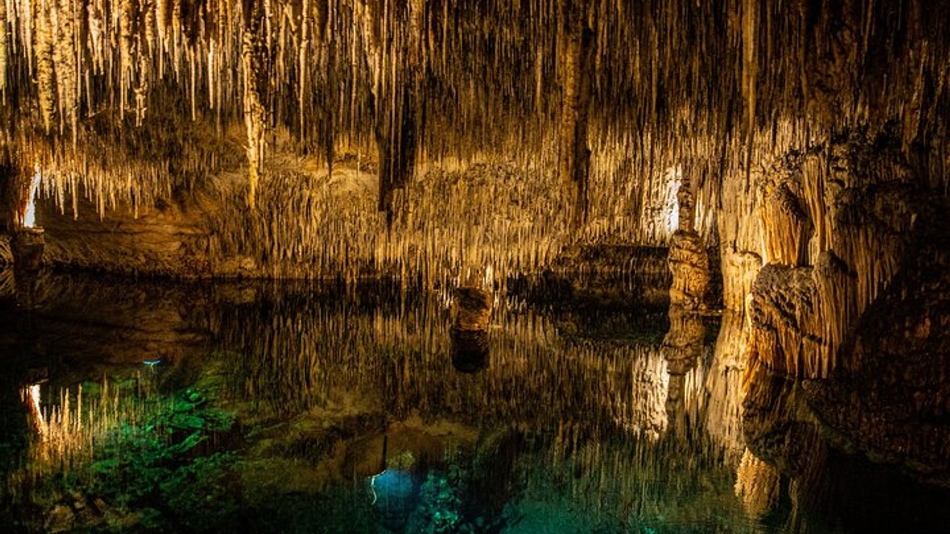 Tour de Meio Dia nas Cavernas de Drach com Passeio de Barco e Concerto de Música