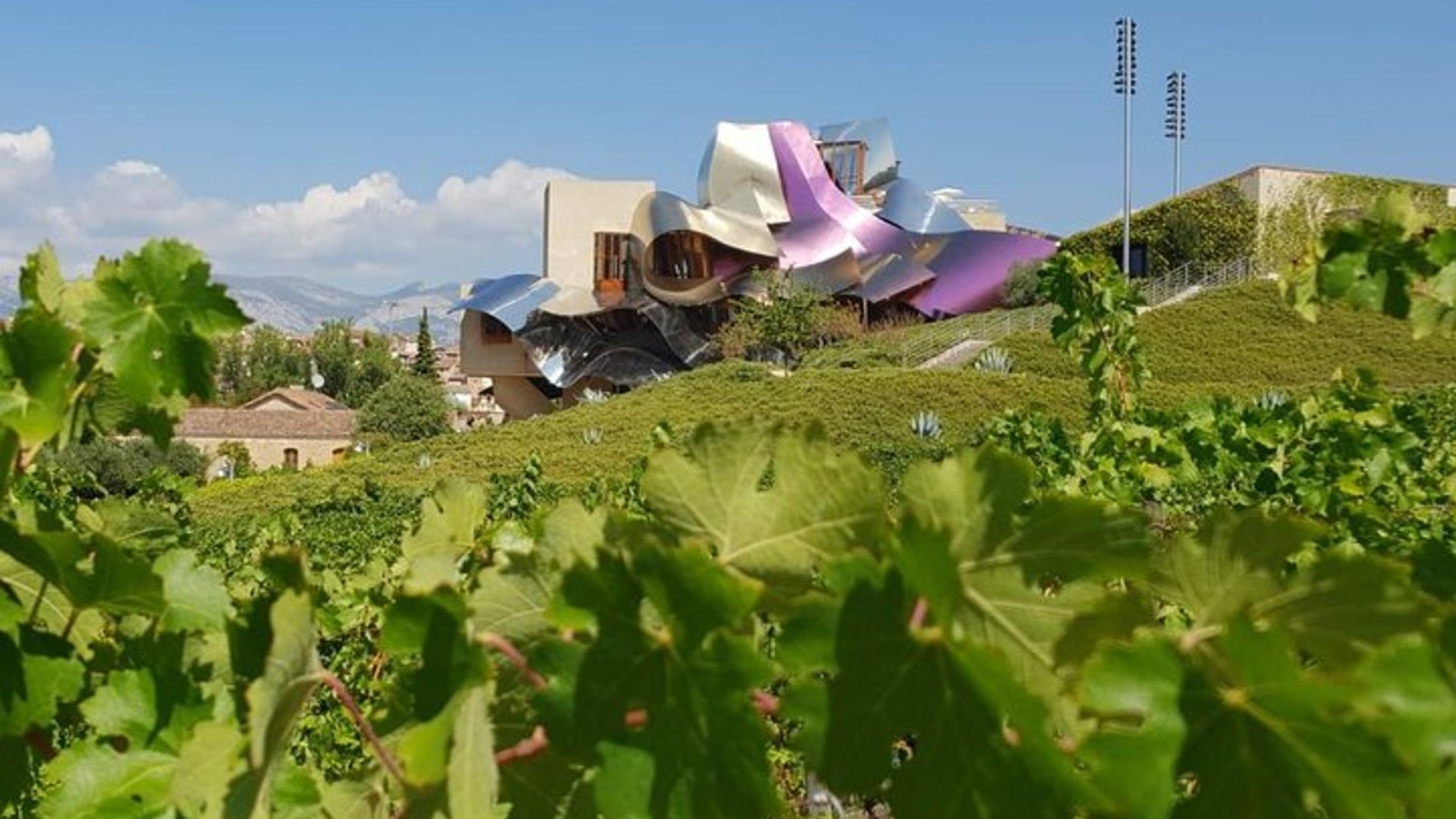 Visite des vins de la Rioja : cave et déjeuner traditionnel de Vitoria