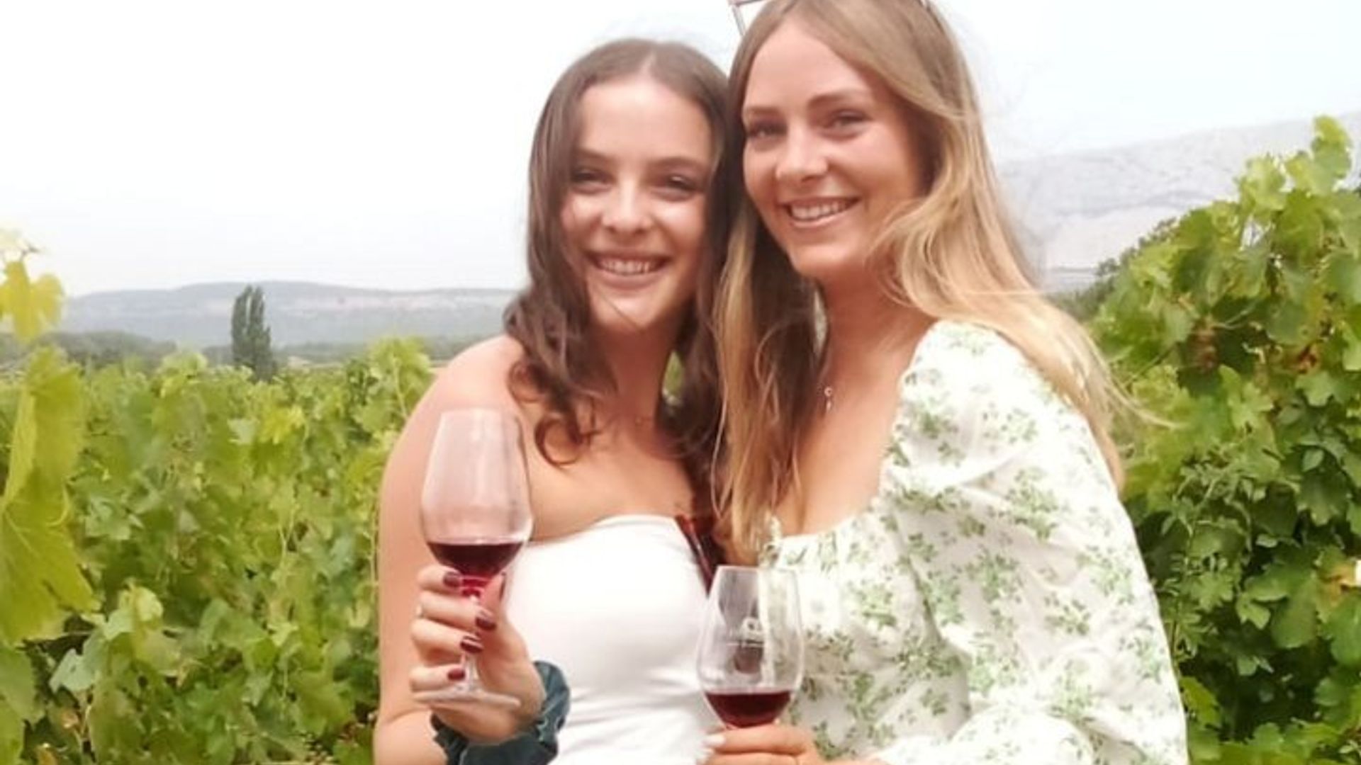 Tour de cata de vinos para grupos pequeños desde Aviñón