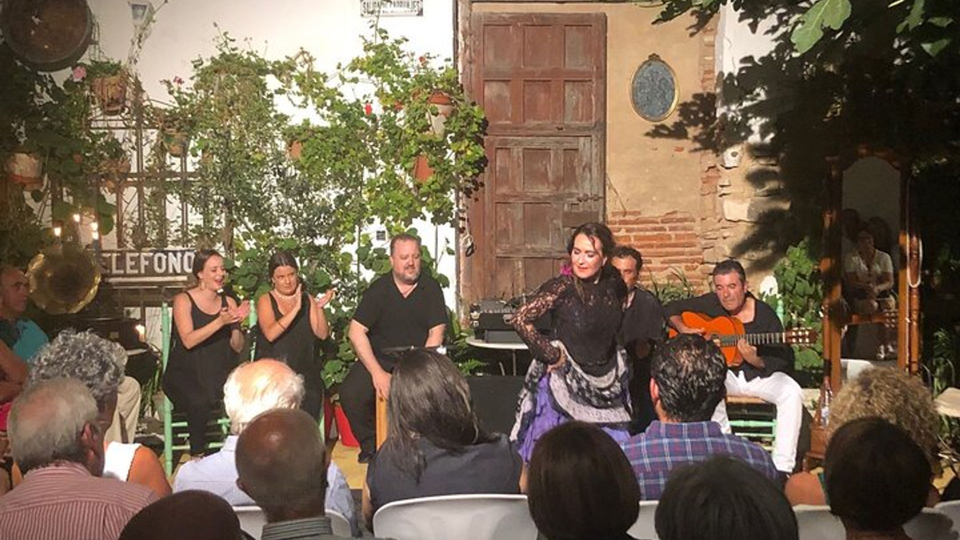 Actuación nocturna de flamenco andaluz con tapas