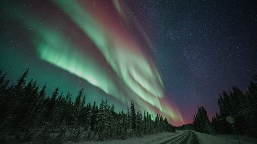 Rovaniemi: Aurora Activity Guarantee - 97% Success Rate Tour