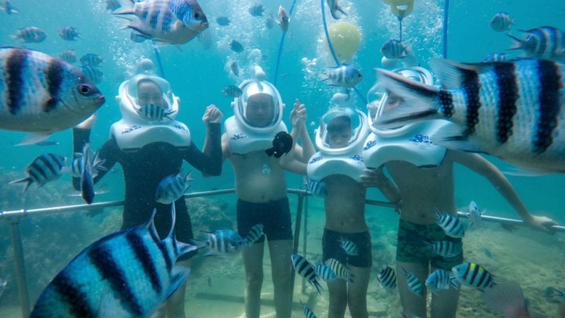 Cham Islands Full-Day Cruise: Underwater Walking, Snorkeling