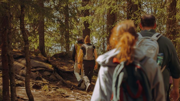 Best View of the Oslofjord Hike