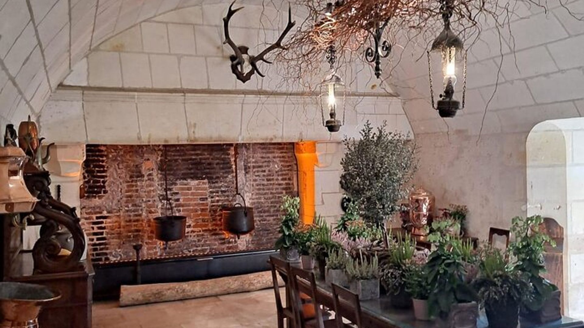 Visite privée des châteaux de la Loire au départ de Paris en minivan