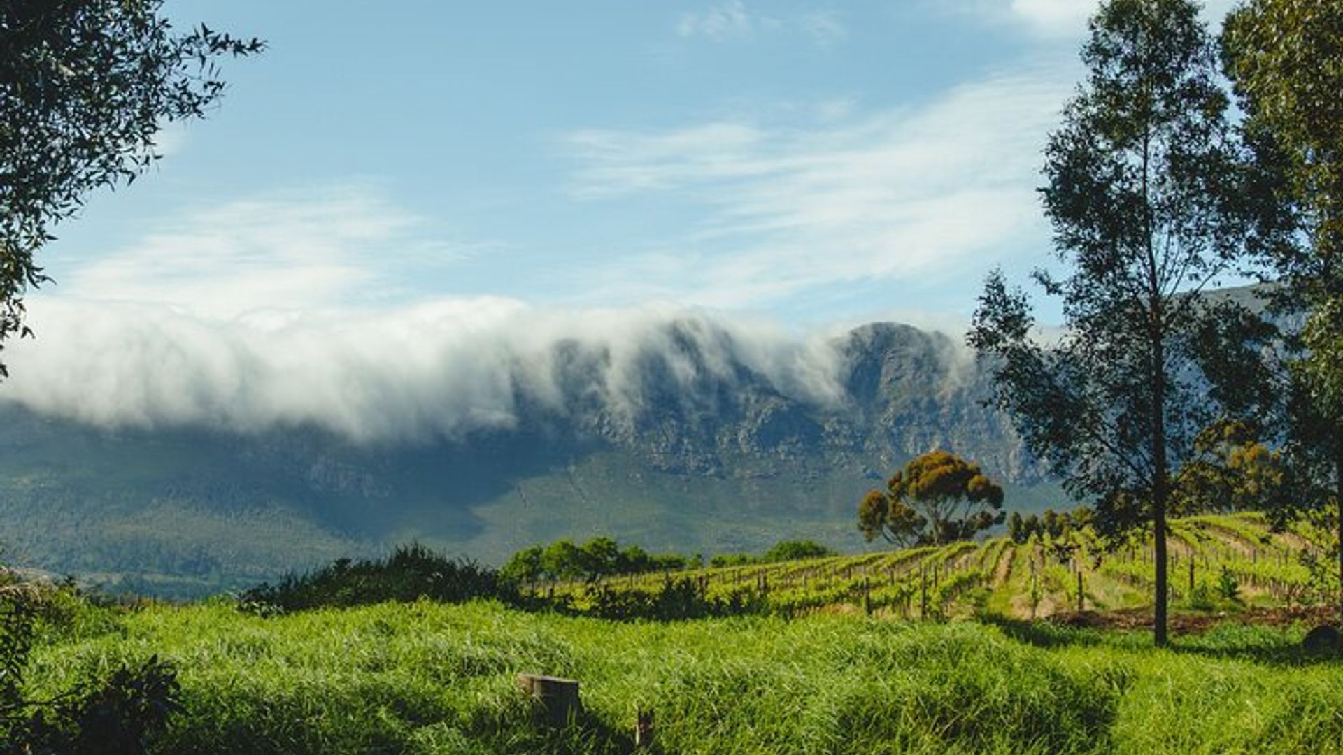 Franschhoek Weinwanderung mit Mittagessen