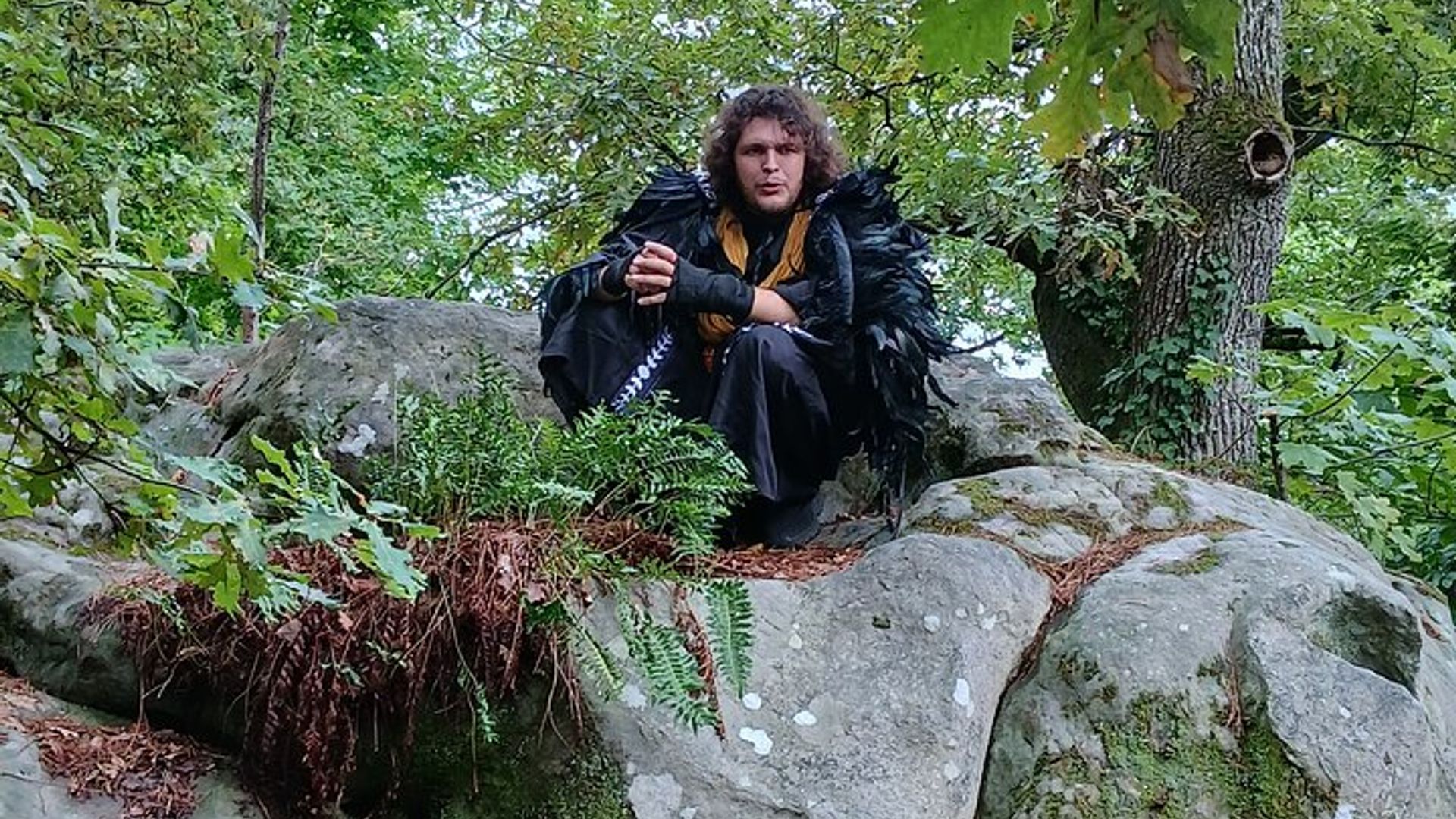 Los misterios del bosque de Fontainebleau: un recorrido inmersivo