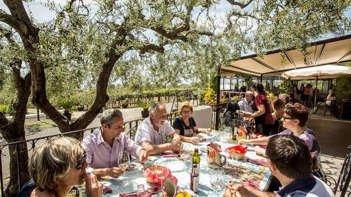 Wine & Food Tour at the Vesuvius Winery
