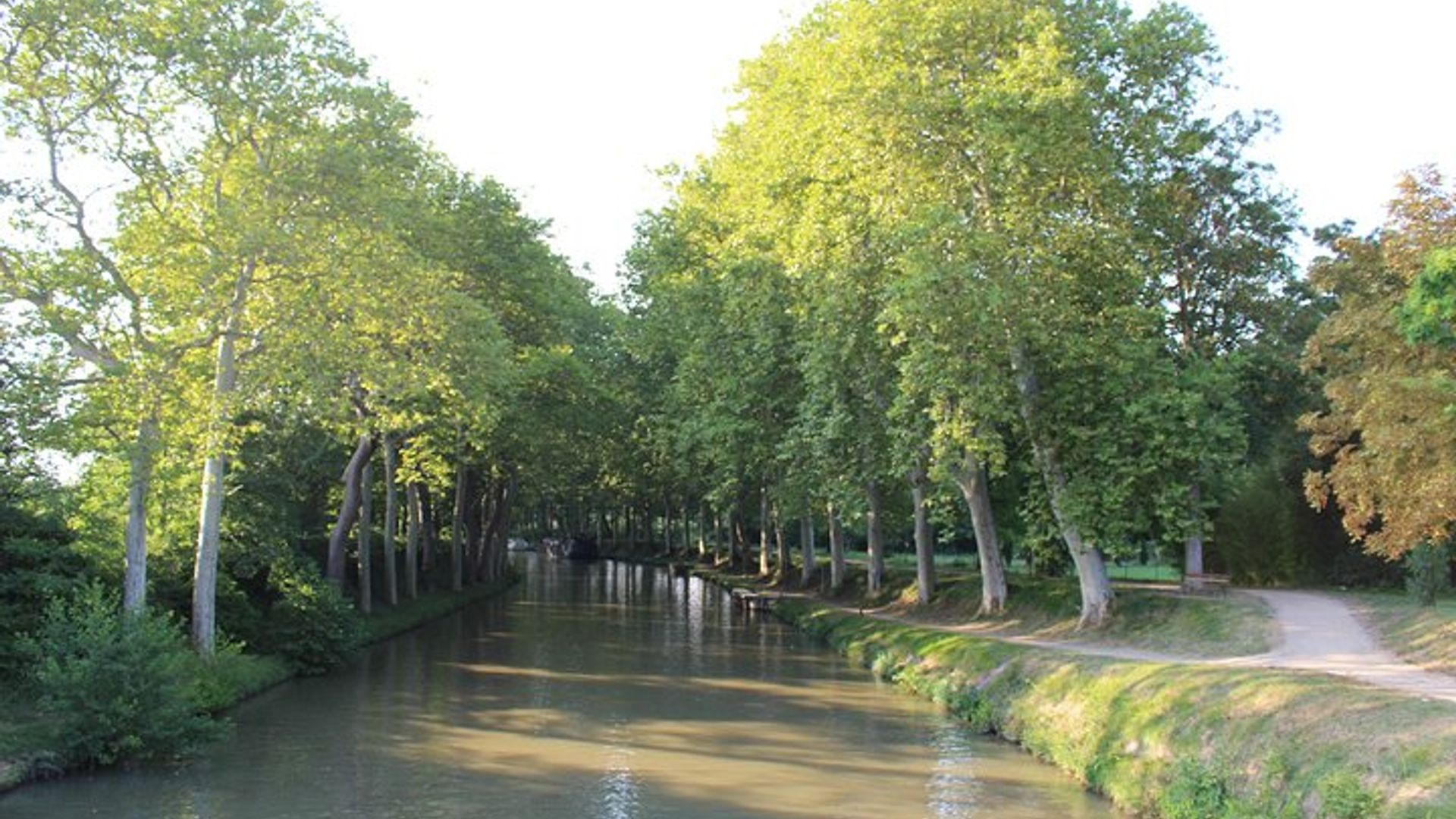 Carcassone Private Minerve, Midi Canal, Wine Tasting Tour