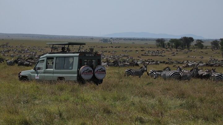 7 Days Private Serengeti Wildebeest Migration Tour