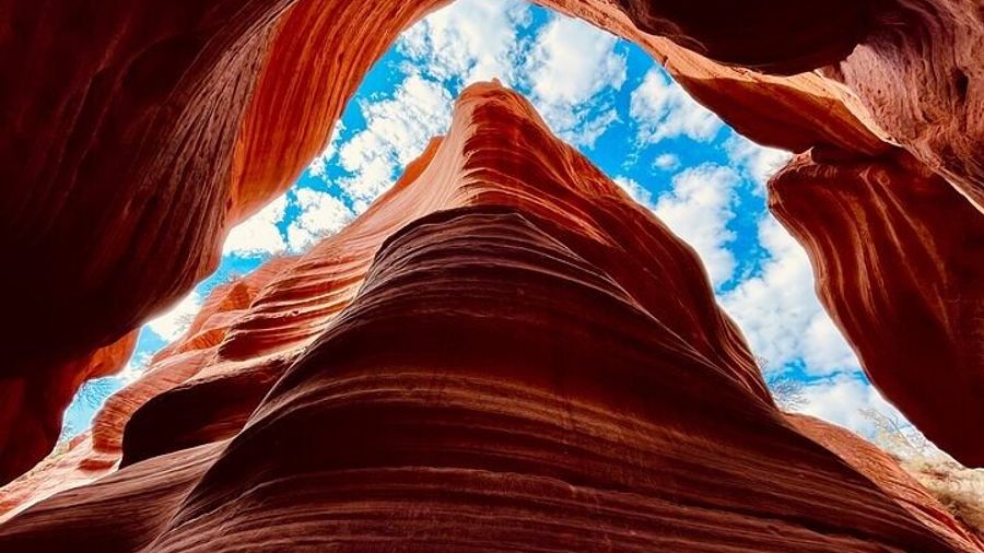 Utah Private UTV and Walking Zion National Park Canyon Tour