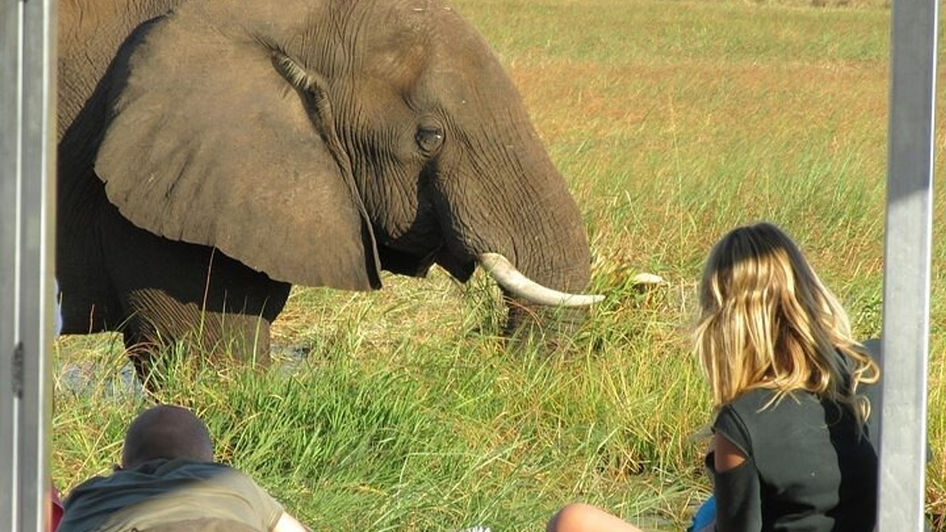 Chobe umunsi wurugendo umukino wo gutwara izuba rirenze gutangira guhera Vic kugwa.