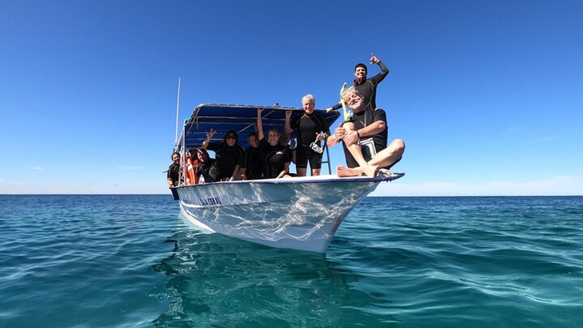 Whale Shark Snorkeling Experience from Cancun and Riviera Maya image 2