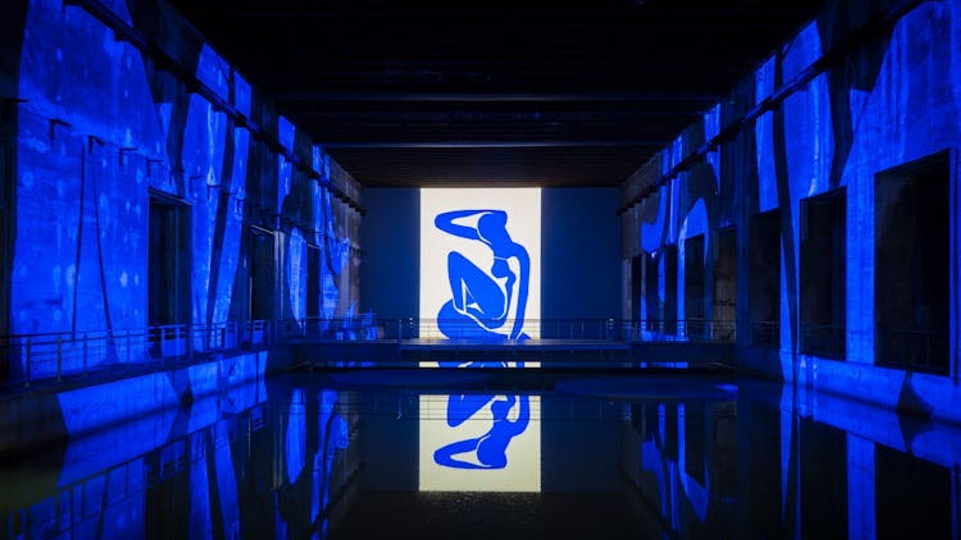Matisse and Frida Kahlo immersive exhibition at Bassins des Lumières