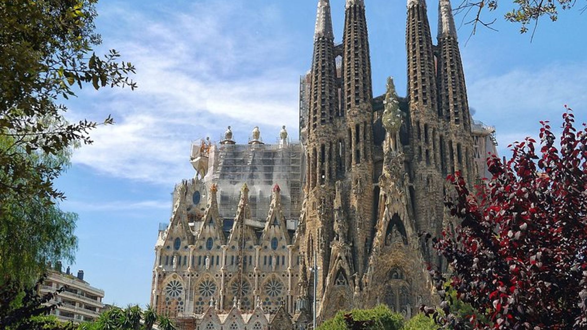 Barcelona: Sagrada Familia Guided Tour With Timed Entry Ticket