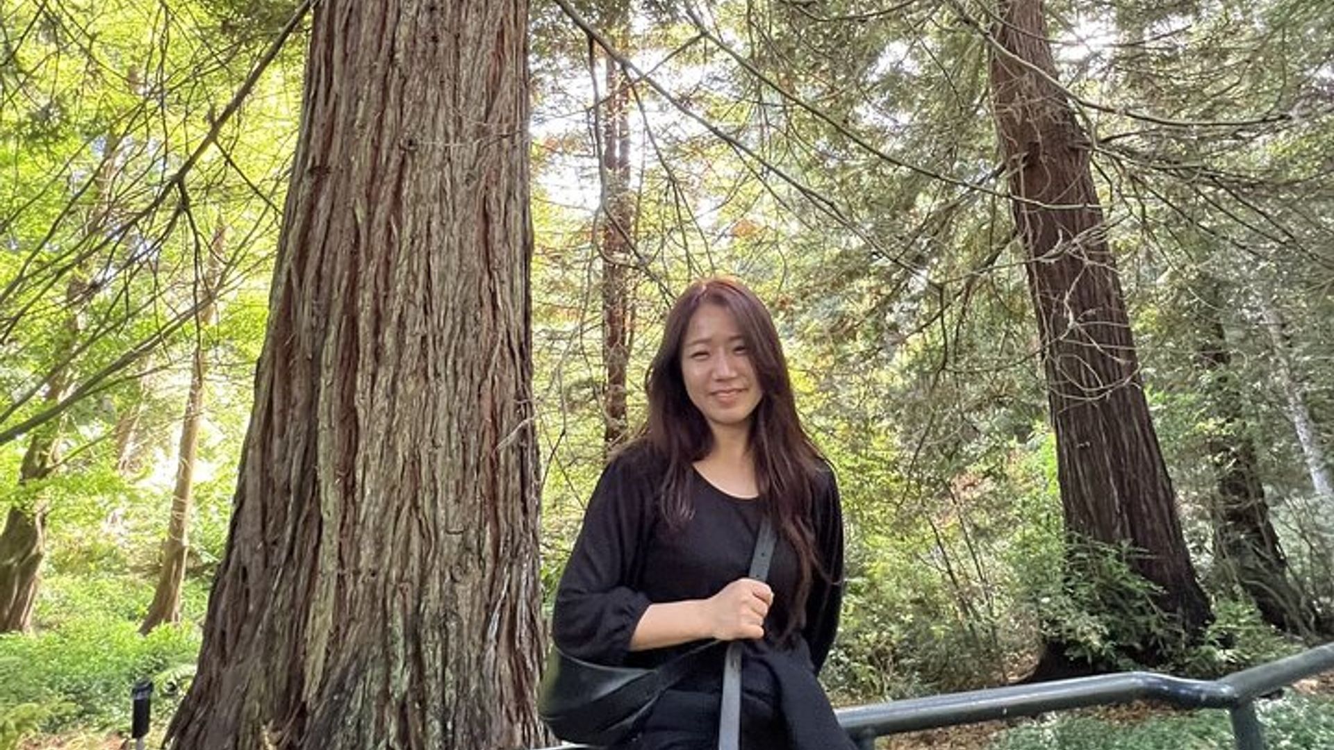 Golden Gate Park's Hidden Gems, Highlights and History image 3
