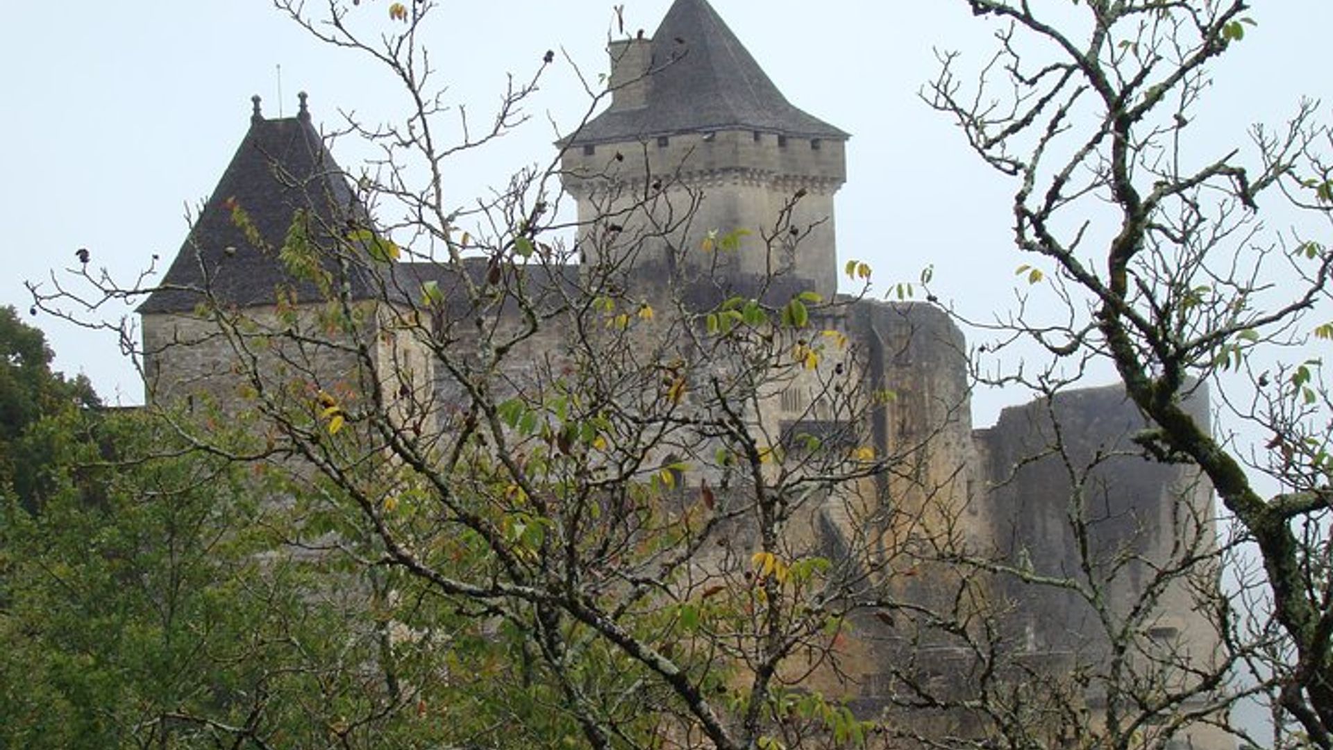 Excursión privada de un día a Dordoña y Périgord desde Burdeos