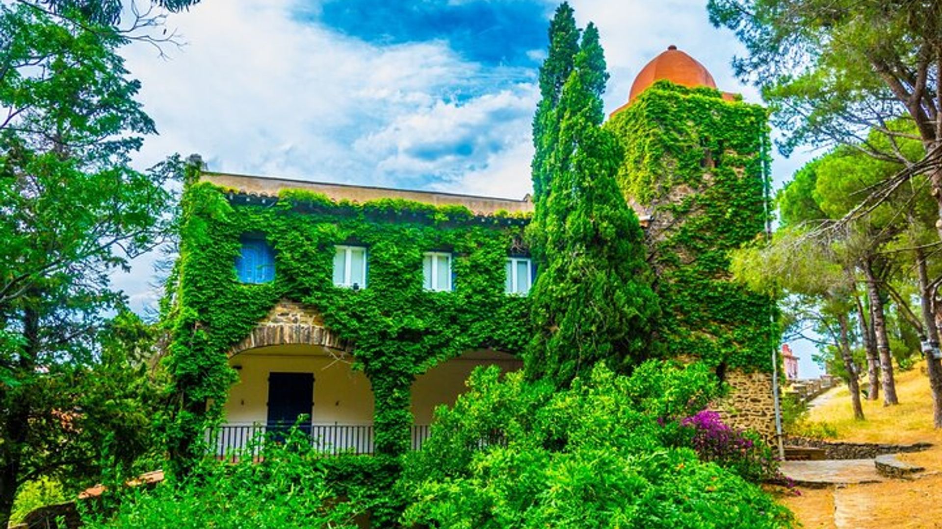 Collioure: 1.5 hour audio guided walking tour and 21 reviews