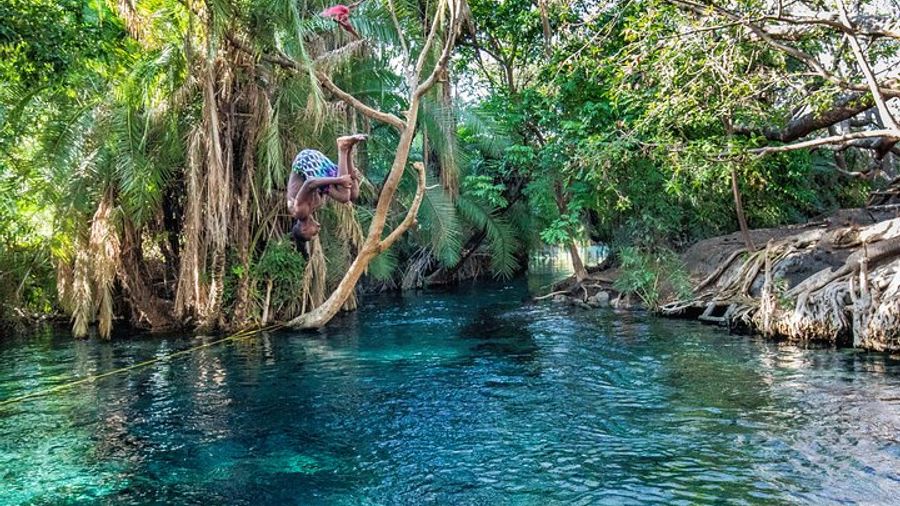 All-Day Private Tour of Materuni Waterfalls in Tanzania