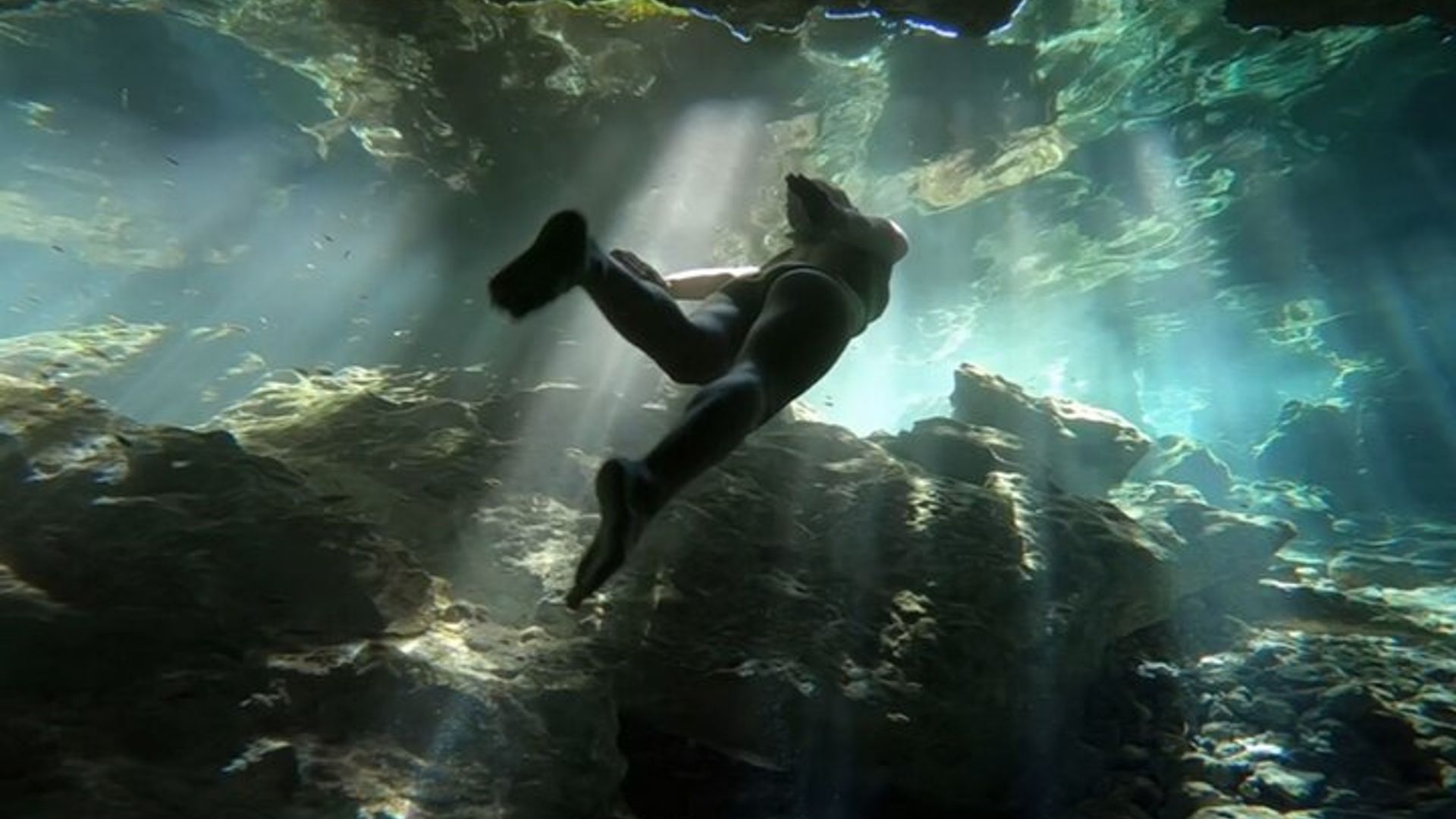 Full Day Tour to Tulum, Cenote Mariposa and Playa del Carmen Eco image 2