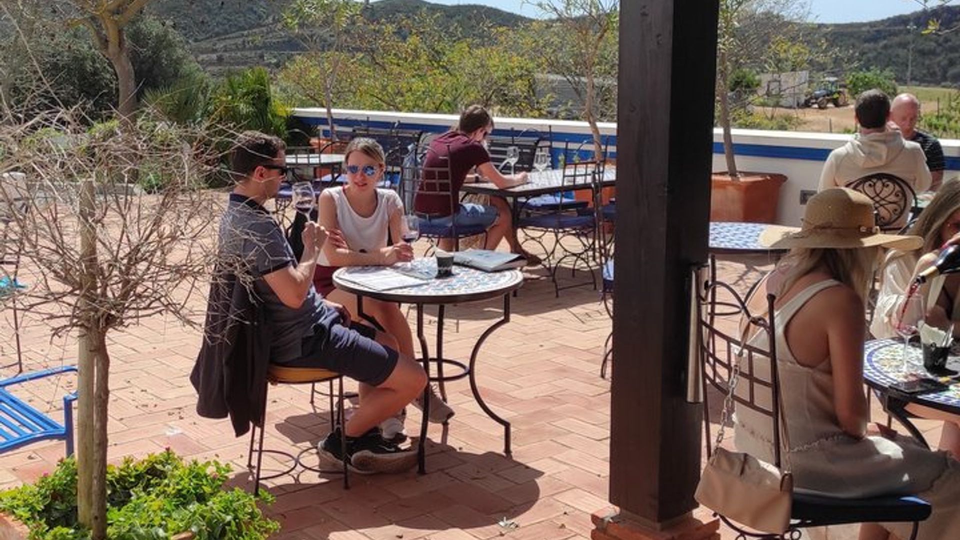 Albufeira Wine Tasting : Weingut-Tour & historische Silben