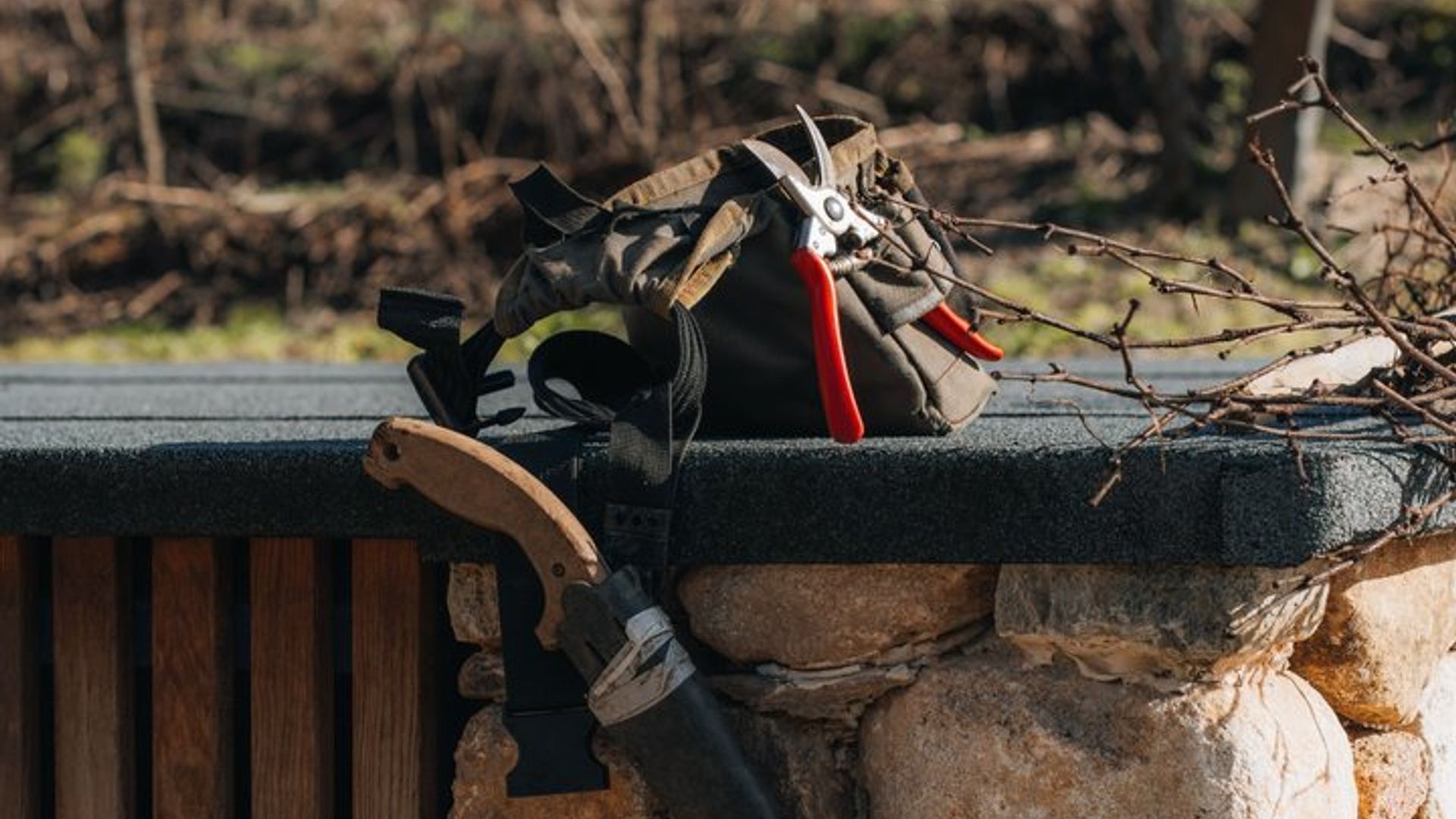 Taller de Poda e Injerto por Quinta de Recião
