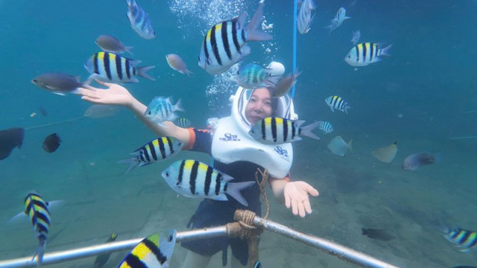 Cham Islands Ganztageskreuzfahrt: Unterwasserwandern, Schnorcheln